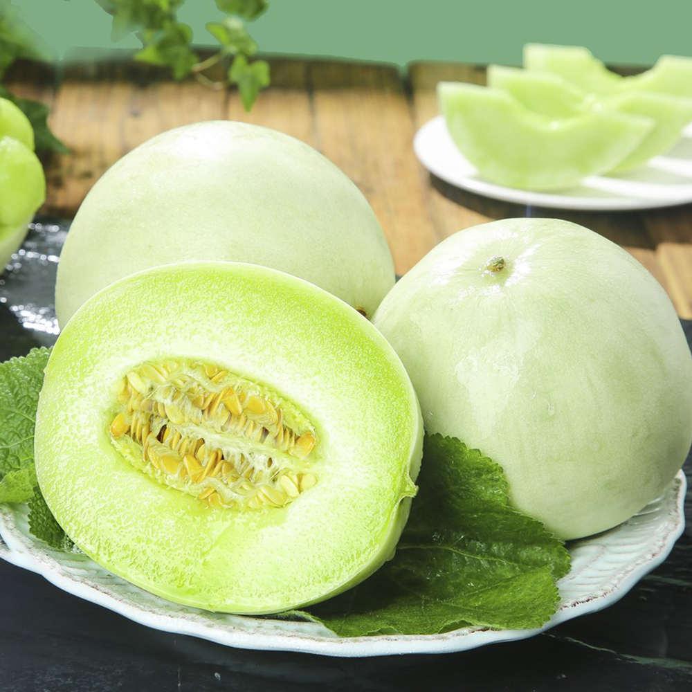 350 Melon Seeds - Fresh Viable Melon Seeds, Ideal for Larger Garden Plots