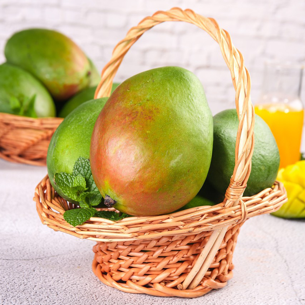 18 Mango Seeds - Premium Mango Seeds, Easy to Grow for Home Gardeners