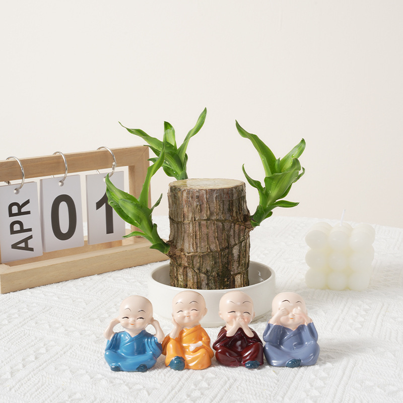 Brazilian Wood Plant Set,Mini Brazil Wood for Home Office Desktop Indoor Greenery Purify The Air, with Plastic Tray,Natural Fortune-Bringing Ornaments Suitable for Office Desks, Desks, and Bedrooms(little monk)