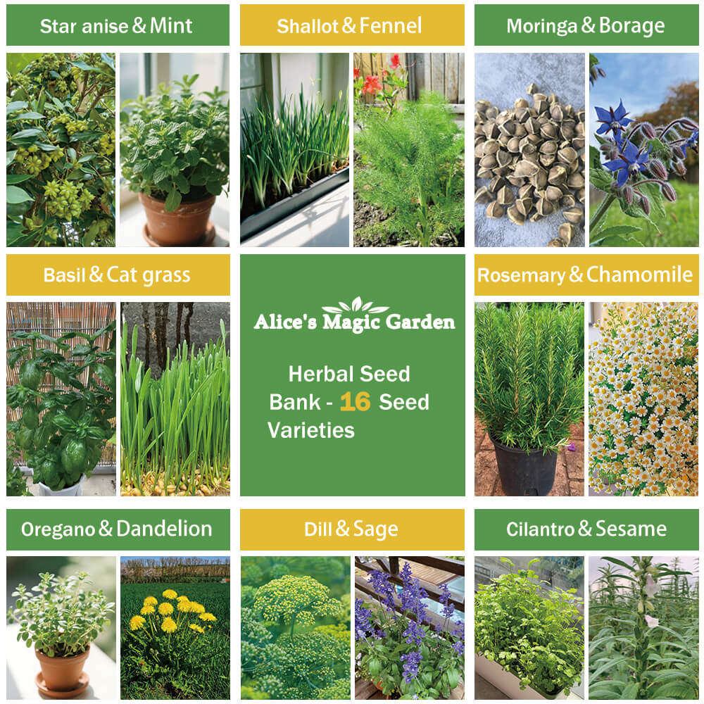 16 Most Popular Herb Seeds Variety Pack - Non-GMO Heirloom Seeds for Planting Herbs in Individual Seed Packets for Hydroponic, Indoor & Outdoor Gardening